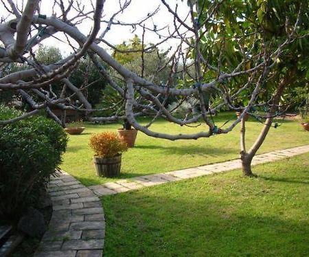 Villa Chiarenza Maison D'Hotes Giardini Naxos Ngoại thất bức ảnh